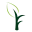 Domain Favicon