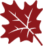 Maple Credit Union