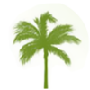 Mid Carolina Credit Union