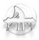 Domain Favicon
