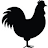 Domain Favicon