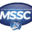 Domain Favicon