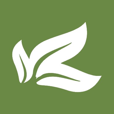 Domain Favicon