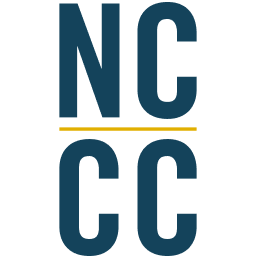 Domain Favicon