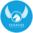 Pegasustechventures Accelerator logo