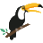 Domain Favicon