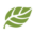 Salal Credit Union