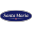 Domain Favicon