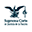 Domain Favicon