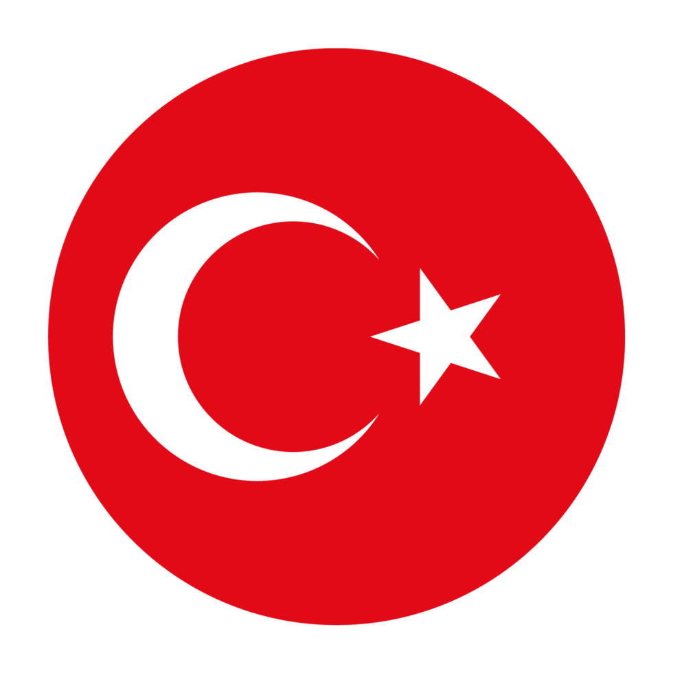 Domain Favicon