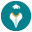 Domain Favicon