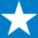 South Texas logo
