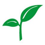 Spring Bank (NY) - Business APIs