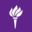 Domain Favicon