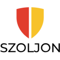 Domain Favicon
