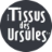Domain Favicon