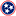 Tennessee Health Services