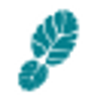 Domain Favicon