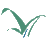 Valley Isle Community  - Federal Credit Union
