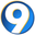 Domain Favicon