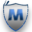 Domain Favicon