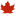 Domain Favicon