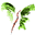 wyenet.co.uk icon