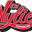 wylietrucking.com icon