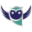 wyzetribe.com icon