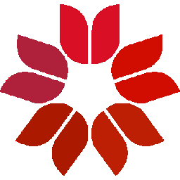 xchl.xyz icon