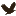 xcskies.com icon