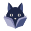 xiaoshuopaihang.cn icon