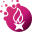 xiaoxingauto.com icon