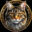 xiliam.com icon