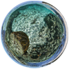 xlcatlinseaviewsurvey.com icon