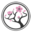 xlytz10.cc icon