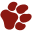 xn--fellschnuten-ernhrungsberatung-btc.de icon