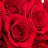 xn--kck4cd0rr81nve5b.xyz icon