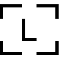 xn--ldgr-5vac.com favicon