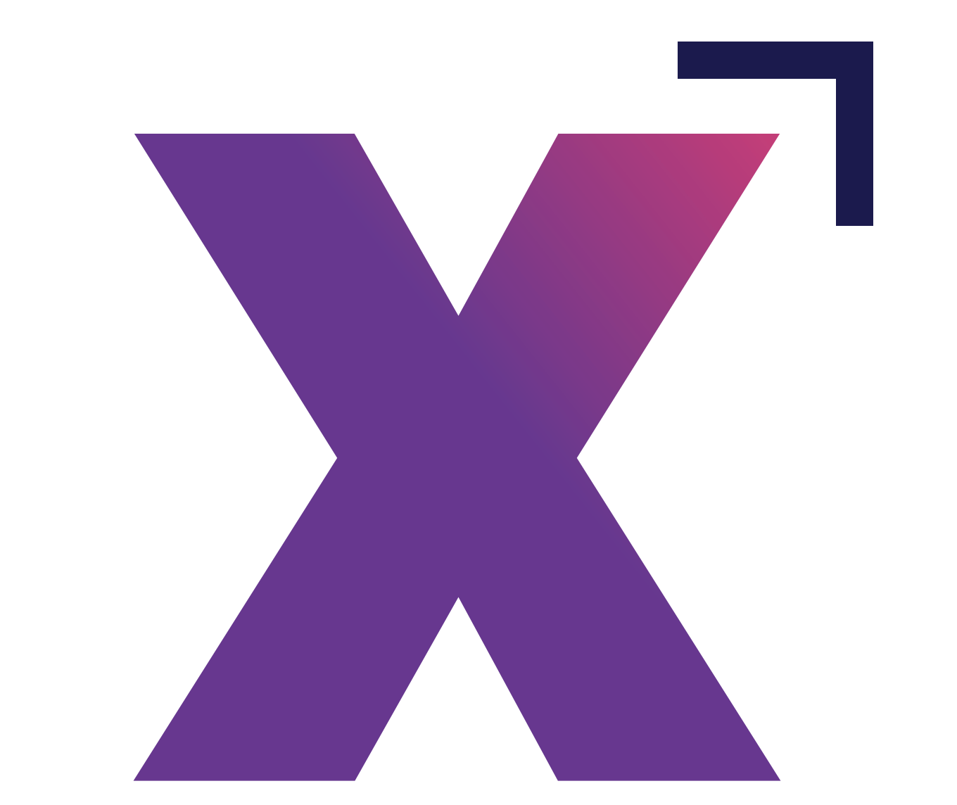xraisesolution.com icon