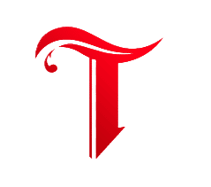xtend-lang.org icon