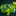 xxxshemaleporn.com icon