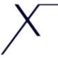 xynext.com icon