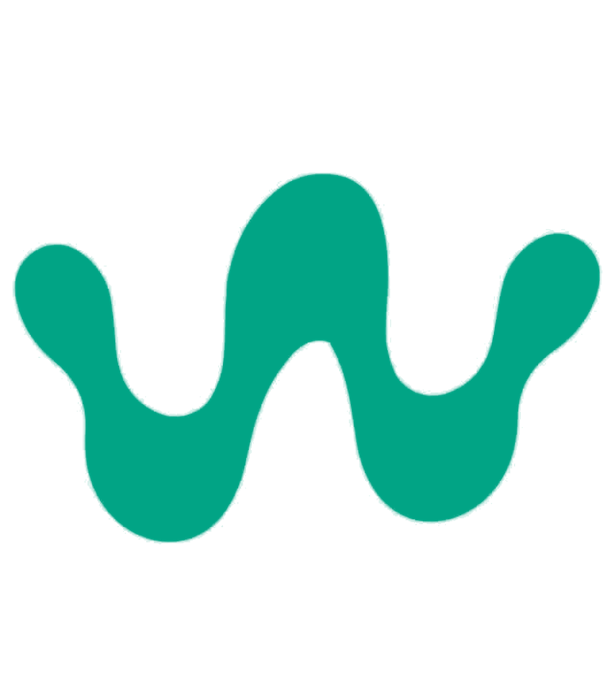 y-lead.net icon