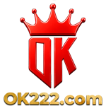 y1r6r.com icon