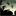 yardillumination.com icon