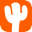 yellowcactus.com icon