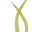 yellowgrass.org icon