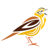 yellowhammerit.com icon