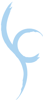 yellowstonesurgerycenter.com icon